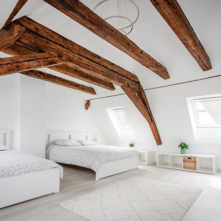 Le Grenier Du Photographe Apartment Kaysersberg-Vignoble Екстериор снимка