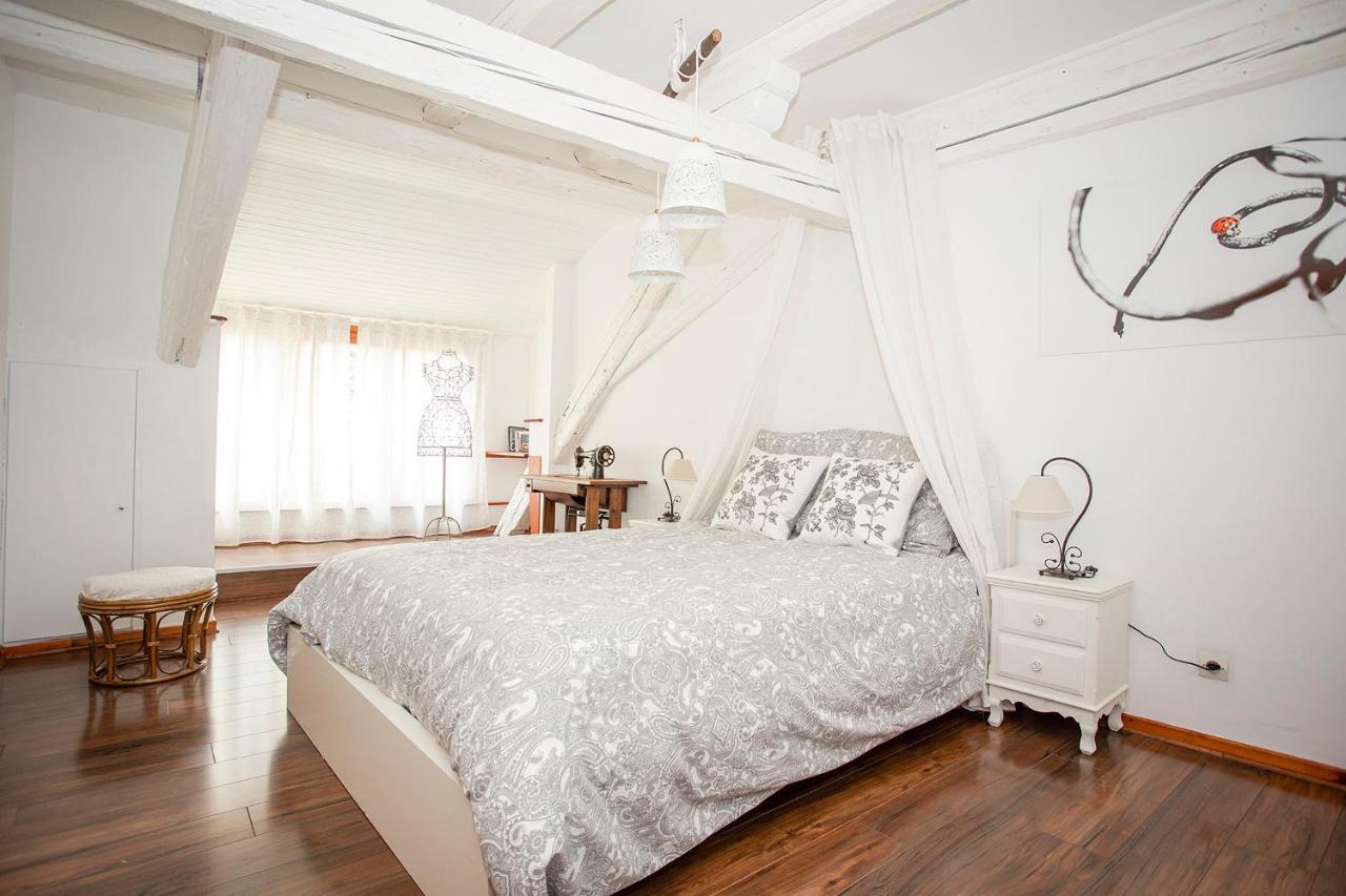 Le Grenier Du Photographe Apartment Kaysersberg-Vignoble Екстериор снимка